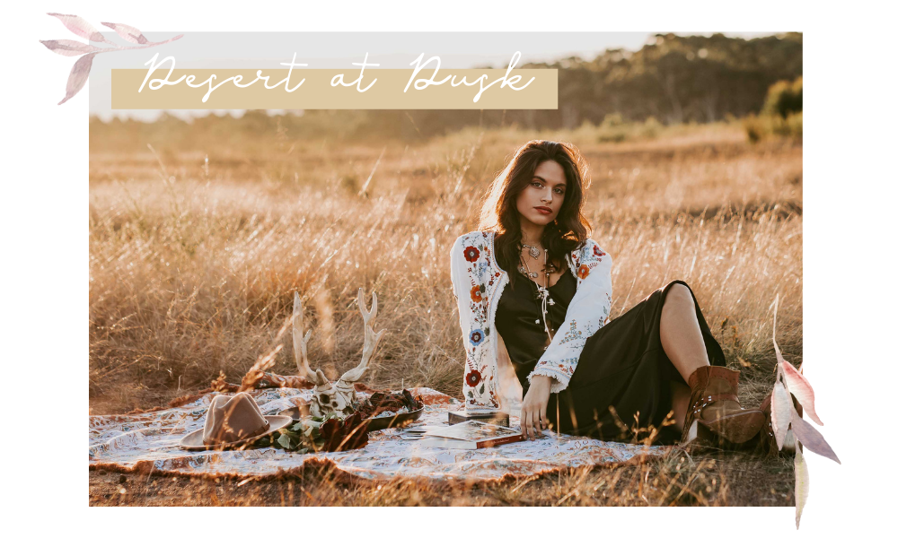 Just Landed: Desert at Dusk