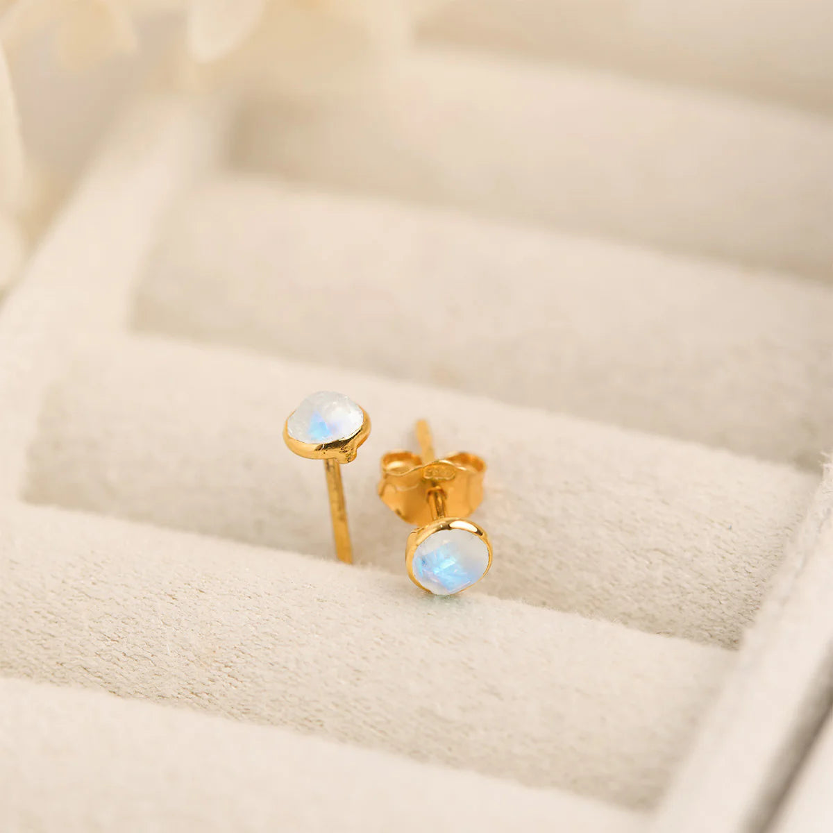 Midsummer Star Dainty Round Moonstone Studs