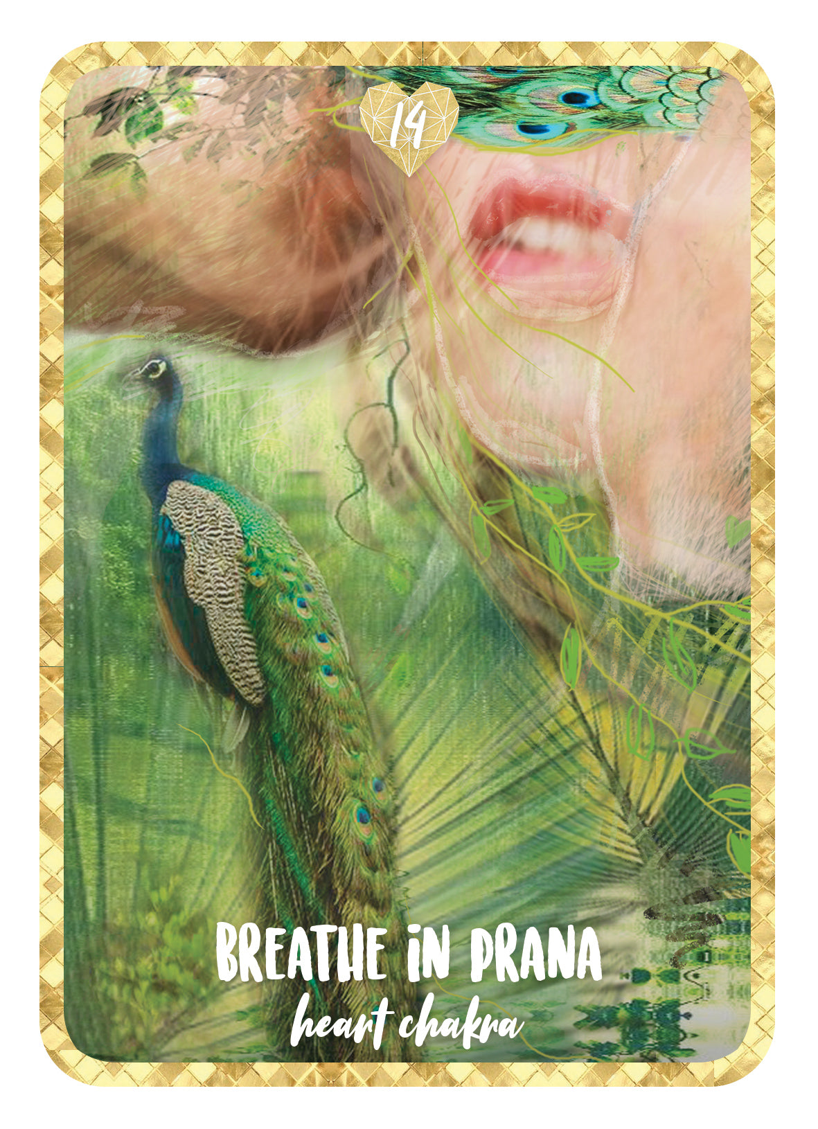 Self Love Oracle Cards