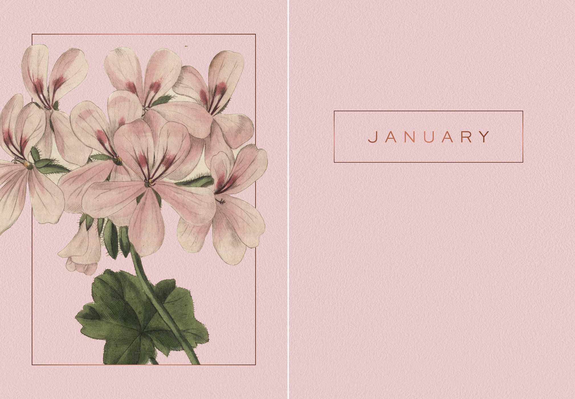 A Year of Flowers A Journal of Daily Wisdom