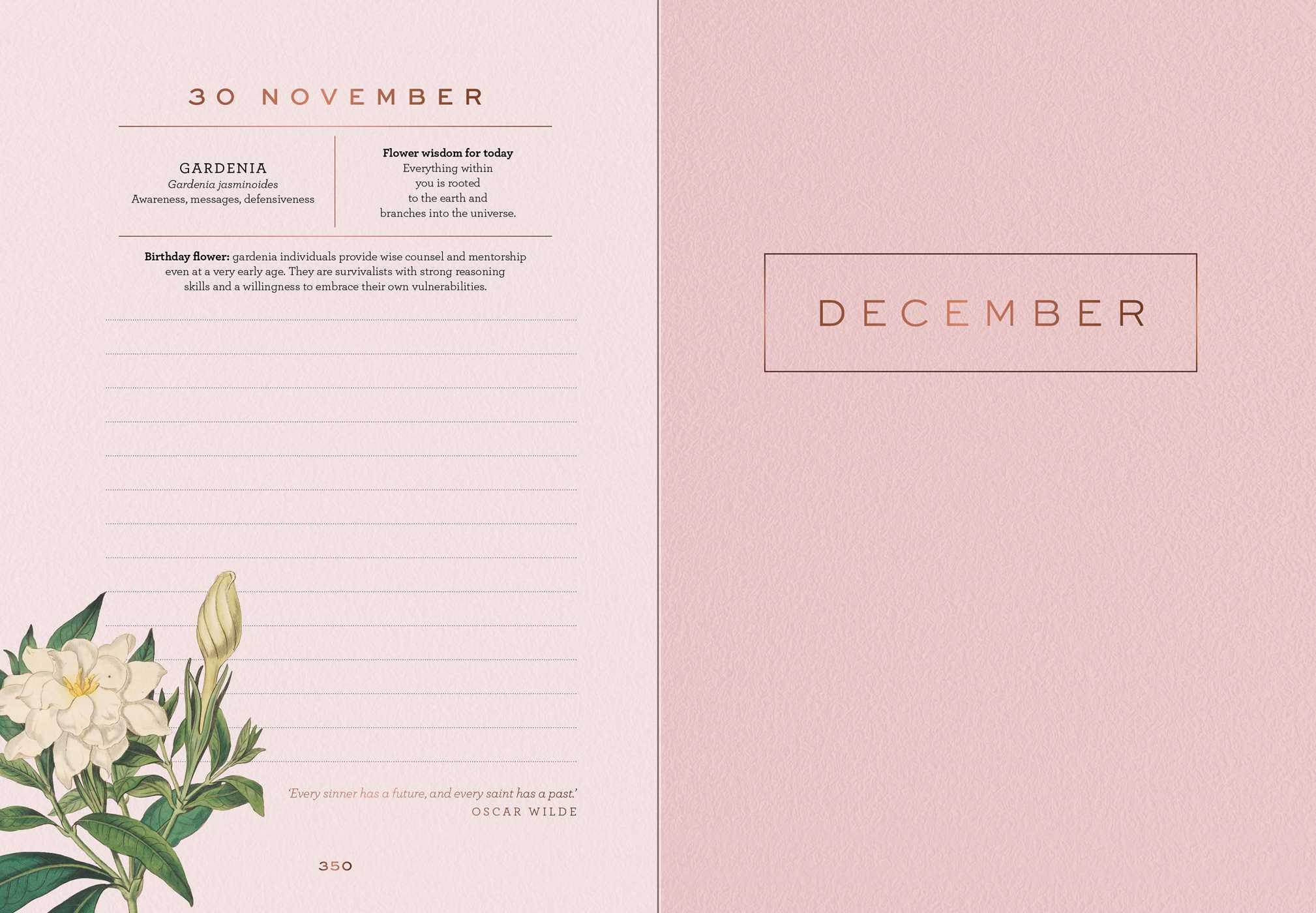 A Year of Flowers A Journal of Daily Wisdom