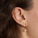 Gold Delicate Sunflower Sleepers