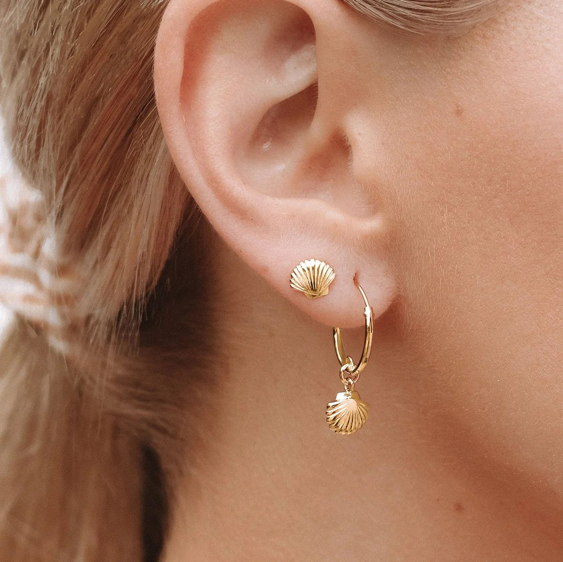 Midsummer Star Gold Dainty Seashell Studs