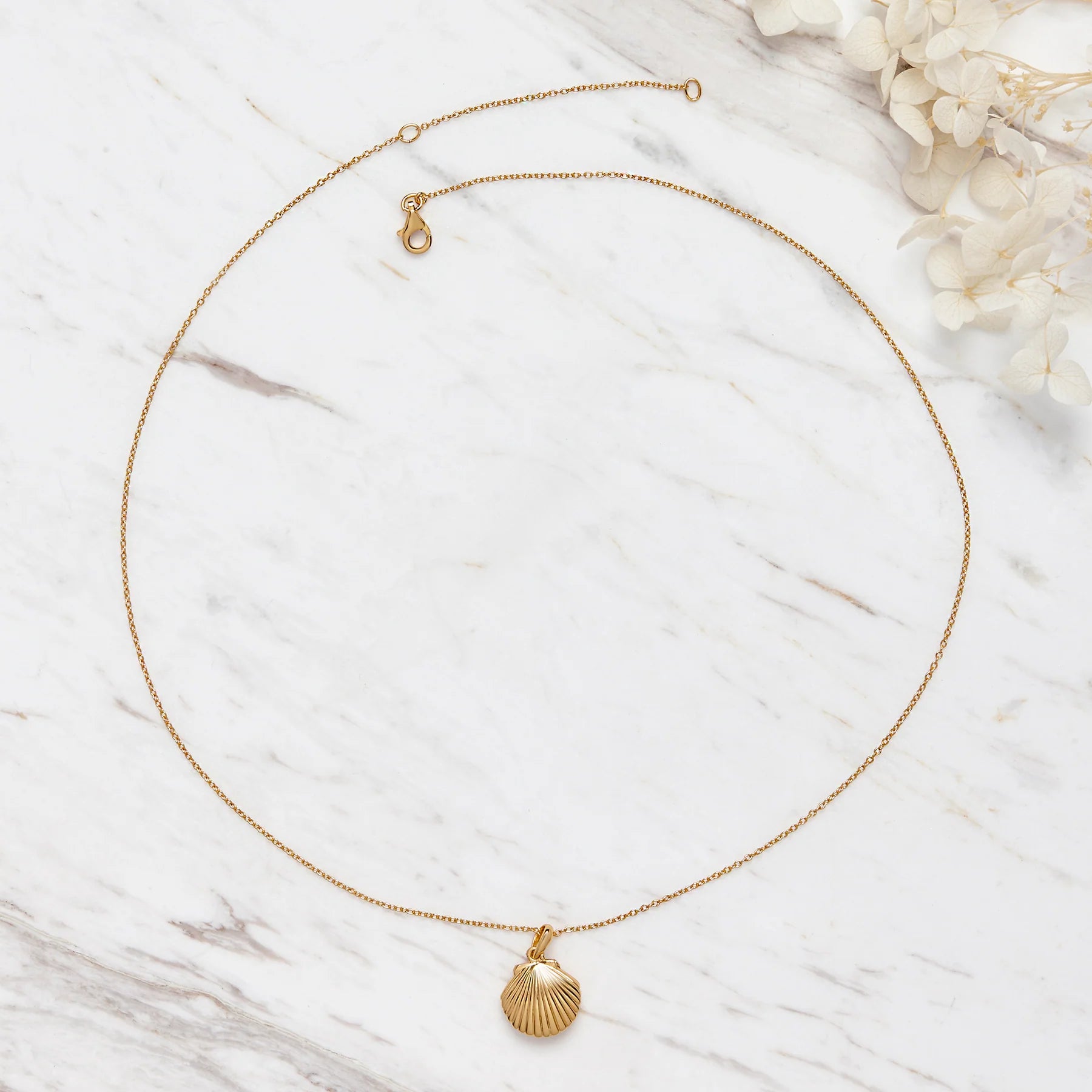 Midsummer Star Seashell Locket Gold