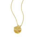 Textured Seashell Locket Gold