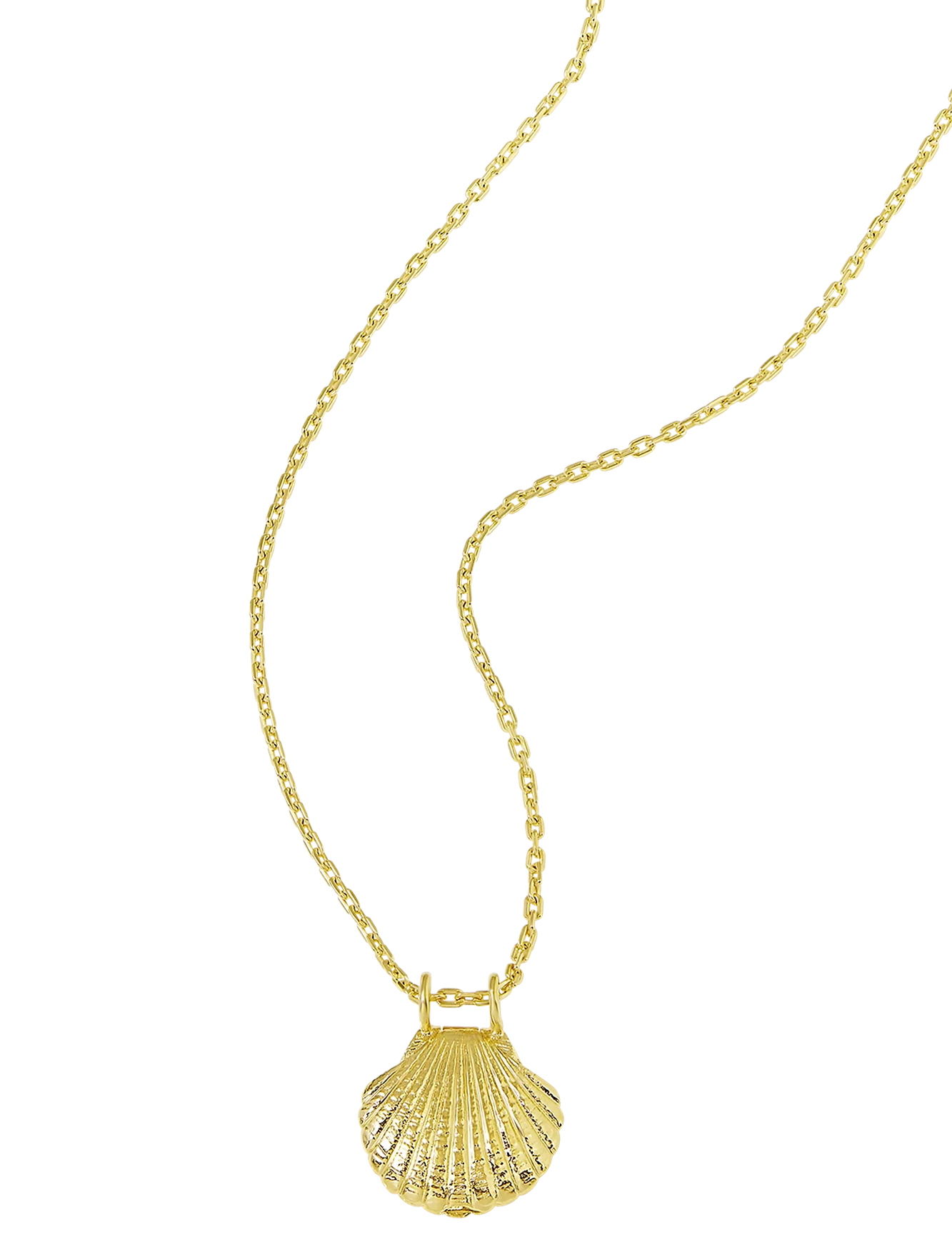 Textured Seashell Locket Gold