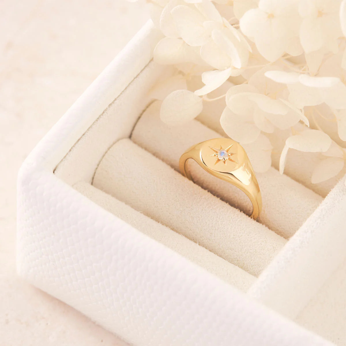 Enchanted Light Moonstone Signet Ring Gold