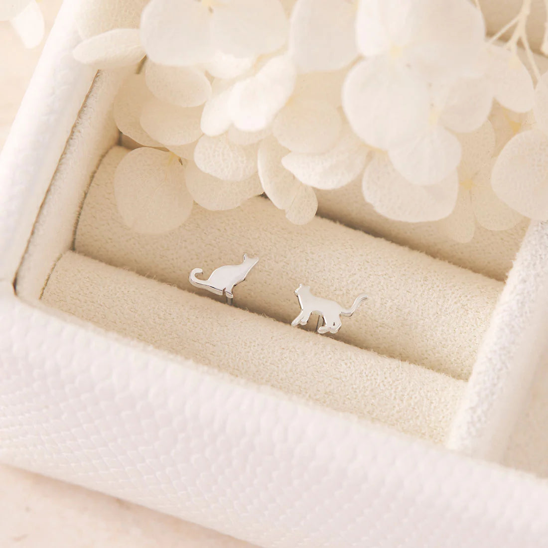 Midsummer Star Other world Cat Studs