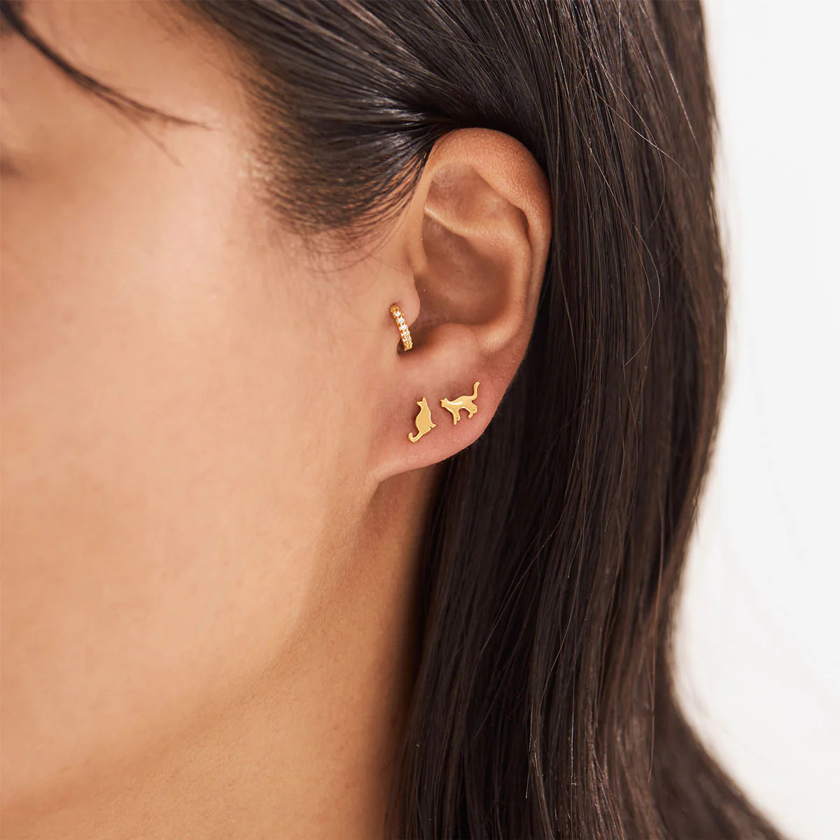 Cat Studs