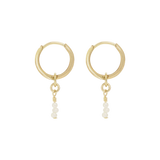 Claire Mini Hoops - Gold