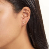 Midsummer Star Venus Pearl Studs Gold
