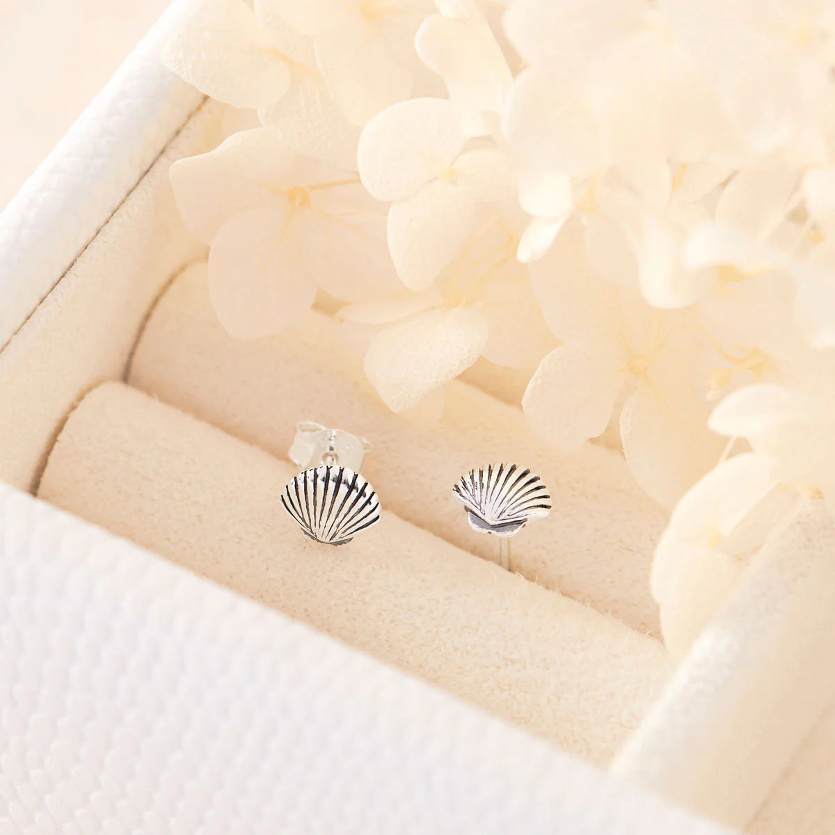 Midsummer Star Dainty Seashell Studs