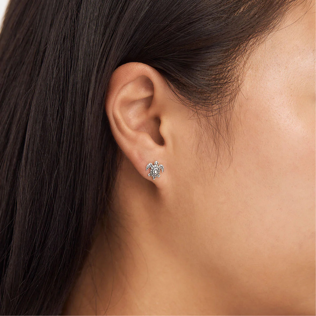Sea Turtle Studs