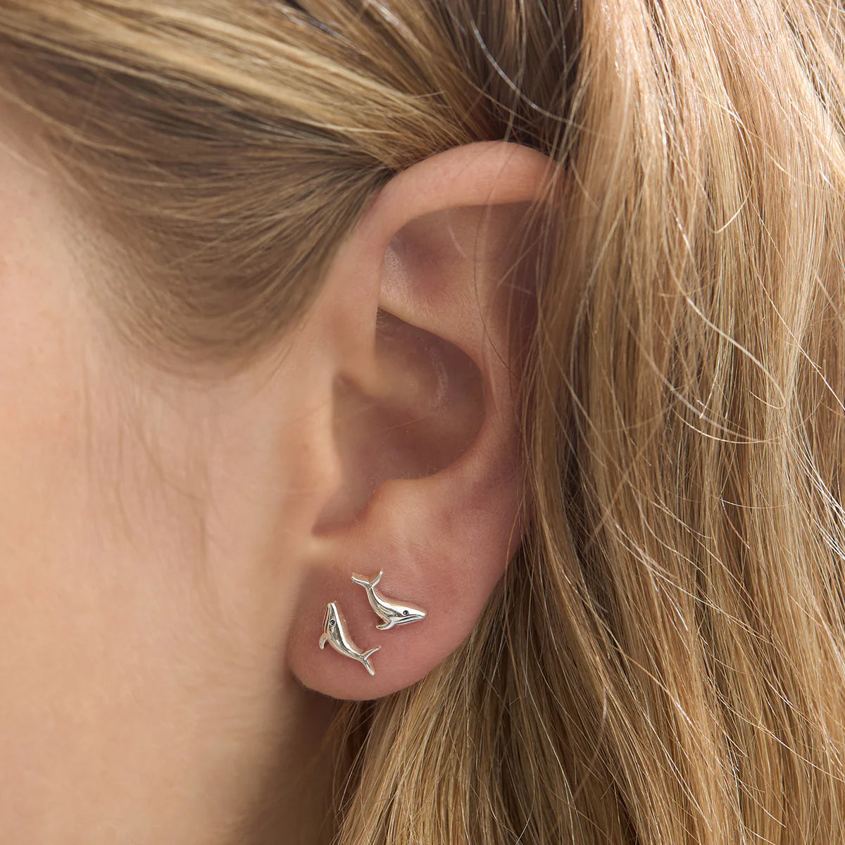 Dainty Whale Song Studs