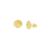 Sandshell Studs Gold