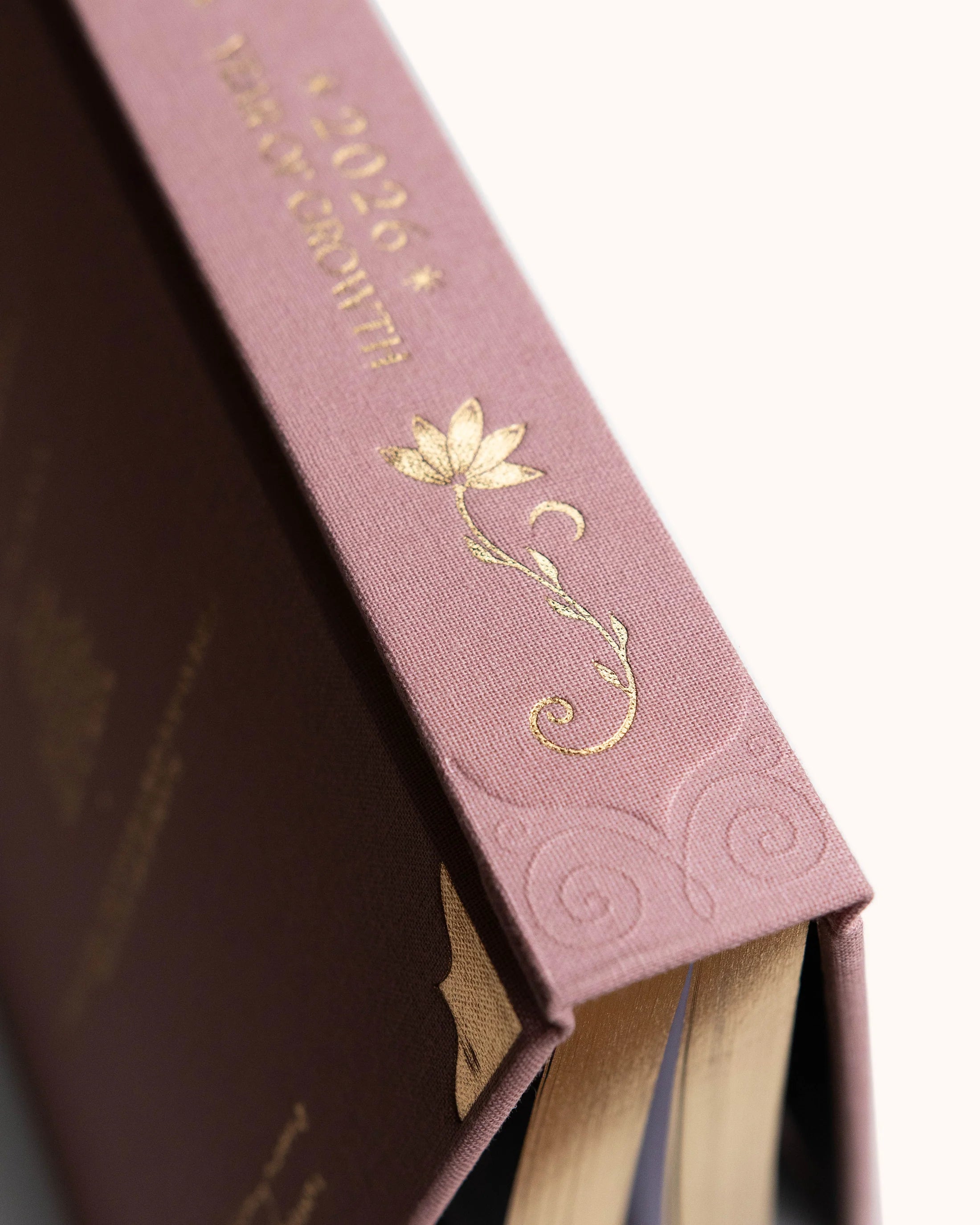 2026 Year Of Growth - Vintage Rose