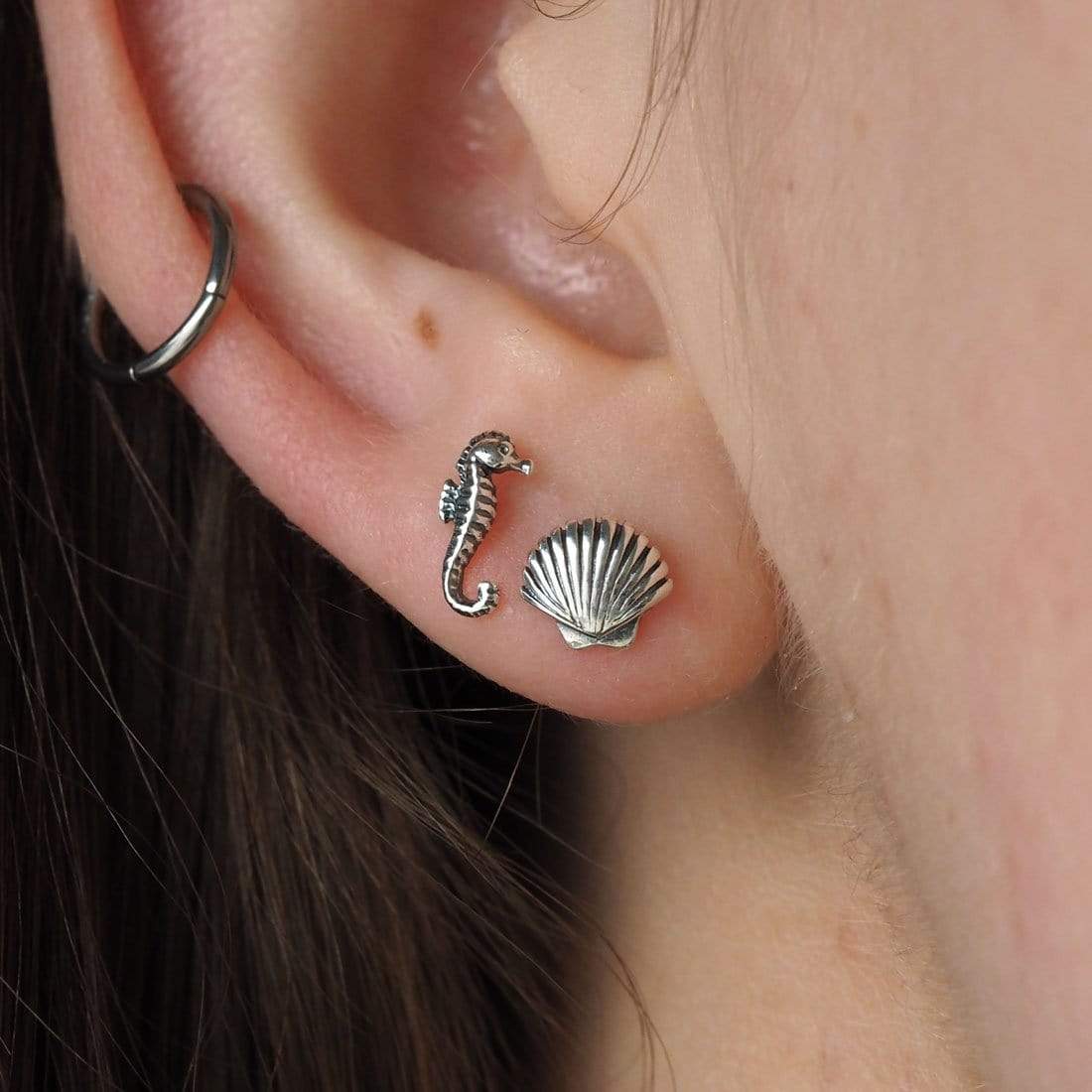 Midsummer Star Dainty Seashell Studs