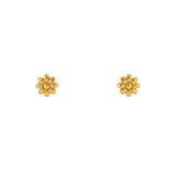 Midsummer Star Gold Wild Flower Studs