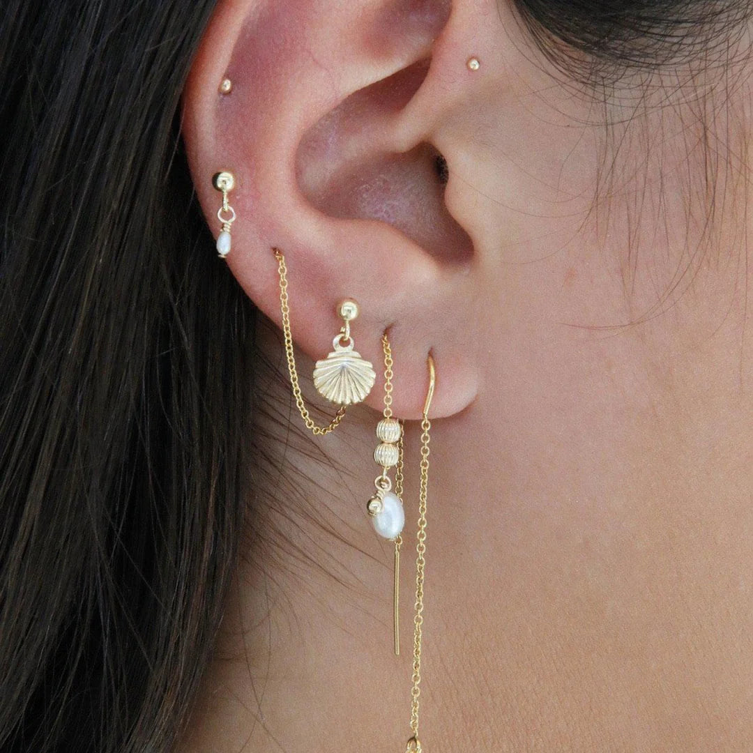 Tiny Shell Earrings