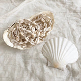 Siren bracelet crafted with cowrie shells