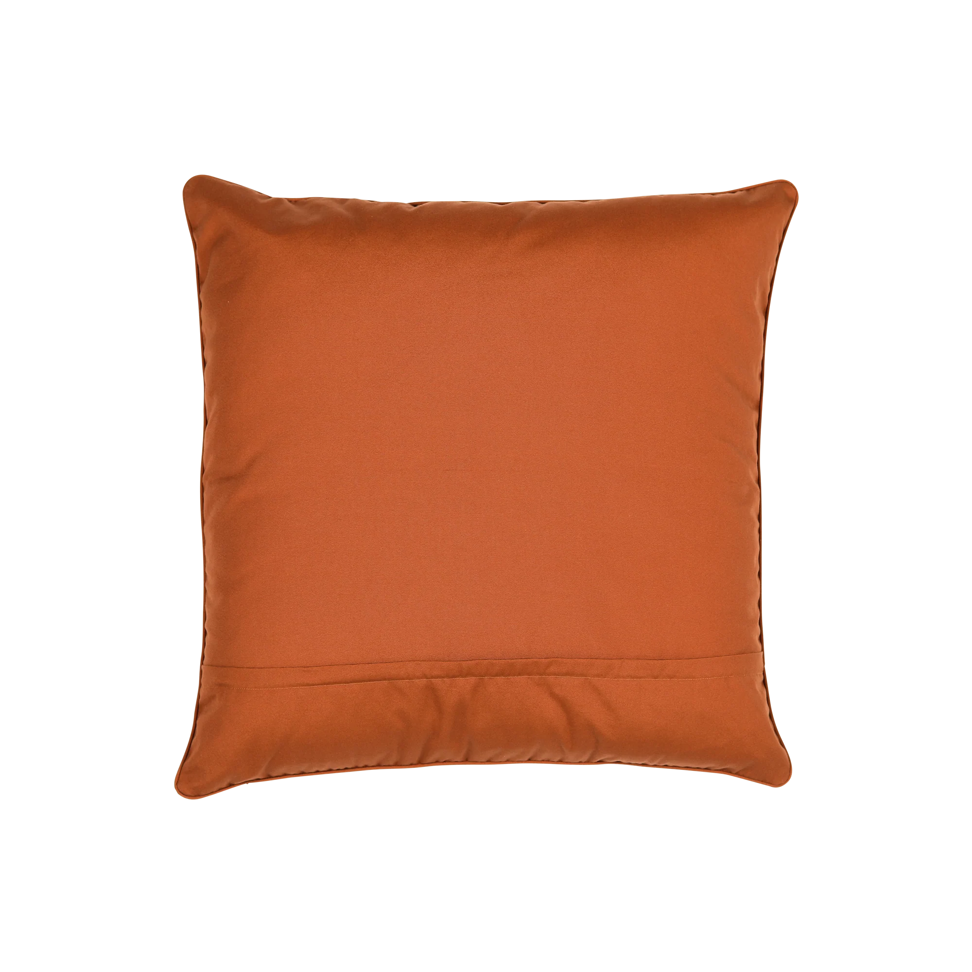 Wild Peach Cushion Cover - Large