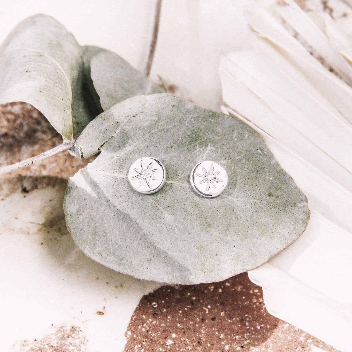 S608CZ - Delicate Enchanted Light Studs
