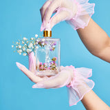 Seeds of Spring Body Oil
