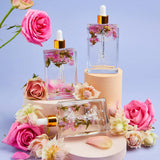 Seeds of Spring Body Oil