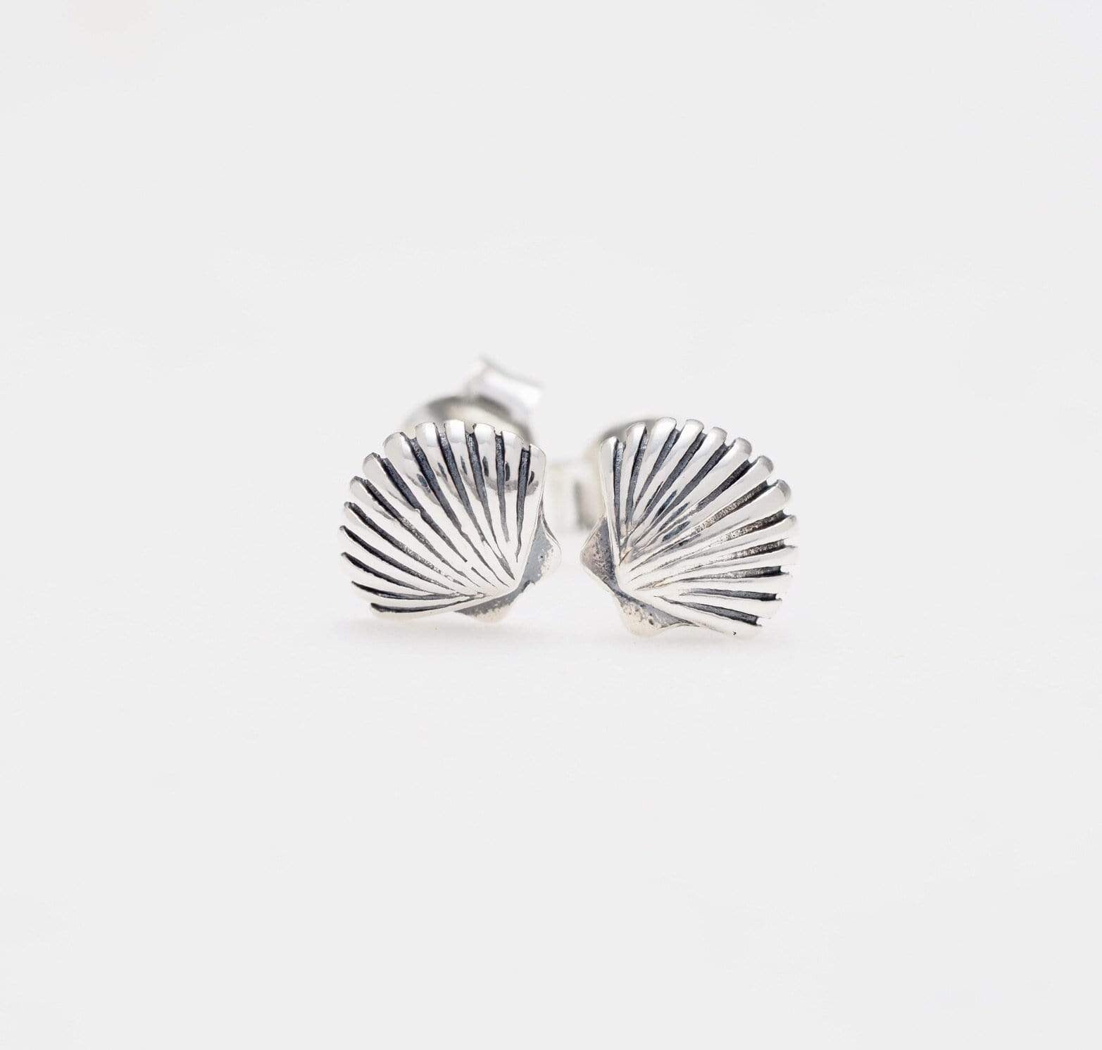 S455 - Dainty Seashell Studs